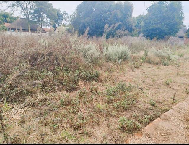 LAND FOR SALE IN BENDOR
